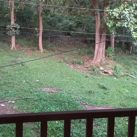 Wild Window - Forest View Homestay Thekkady Exterior photo