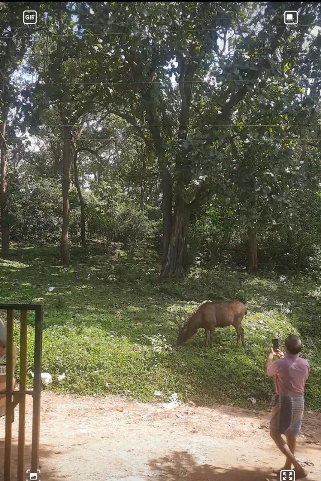 Homestay Wild Window - Forest View