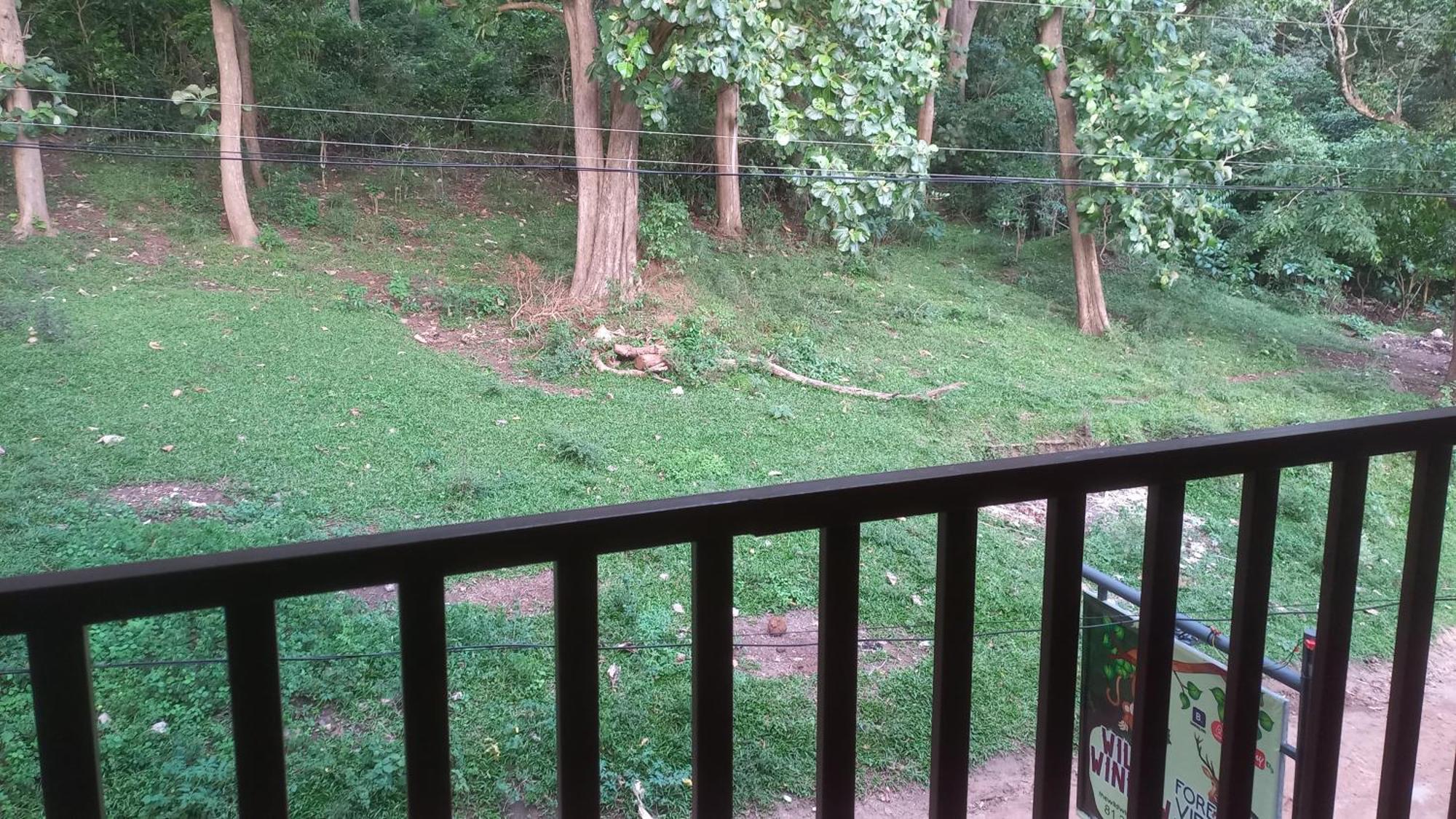 Wild Window - Forest View Homestay *