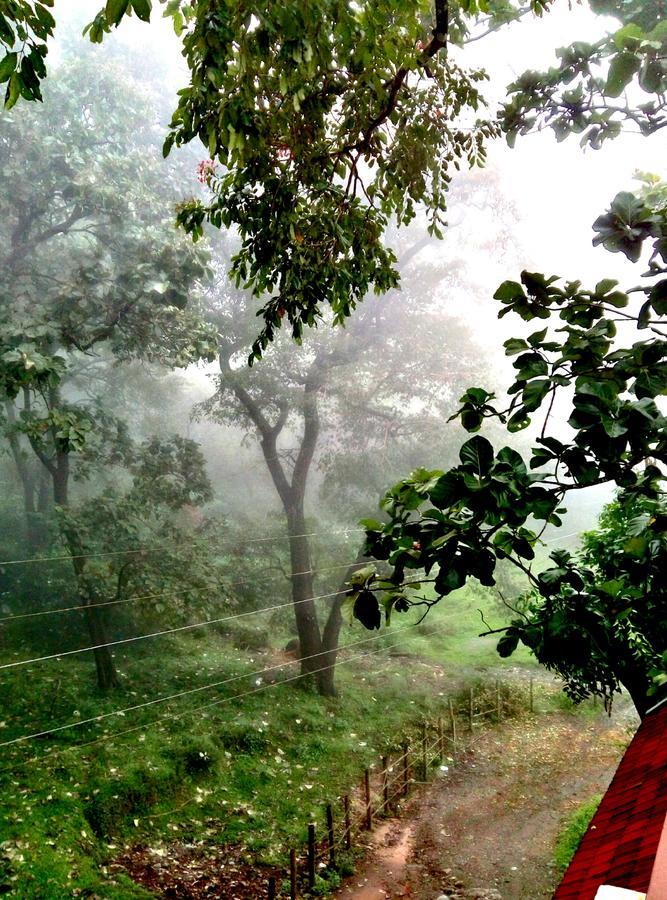 Wild Window - Forest View Homestay *