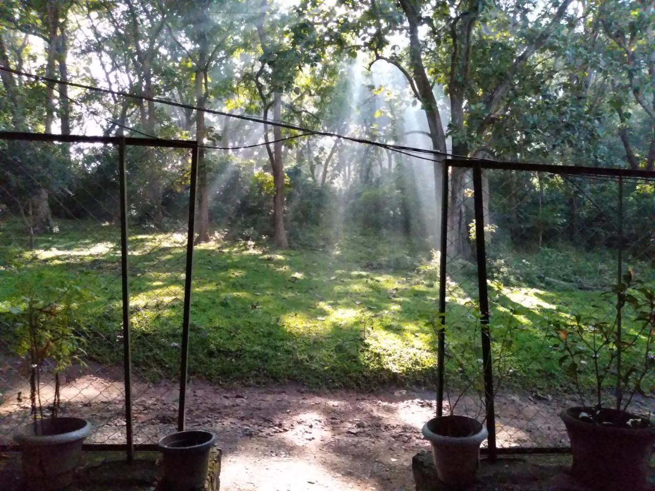 Homestay Wild Window - Forest View *