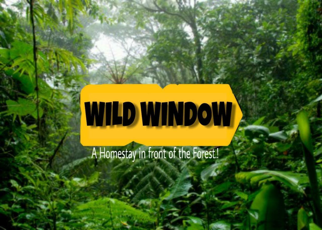 Wild Window - Forest View
